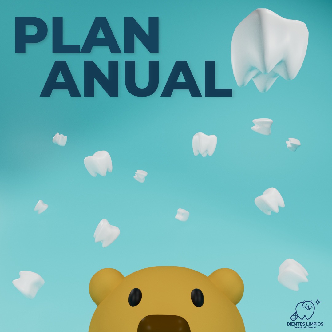 plan anual